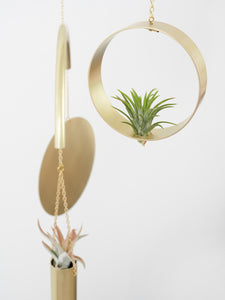 Air Plant Mobile — 
Brass