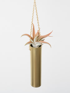Air Plant Mobile — 
Brass